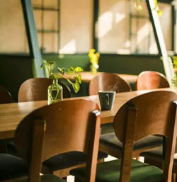 لوگوی گروه معماری ونوس