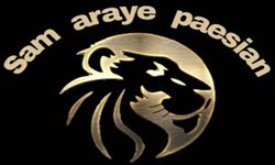 لوگوی سام آرایه پارسیان | بازسازی اول