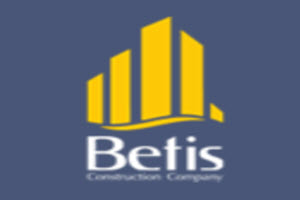 لوگوی شرکت بتیس | بازسازی اول