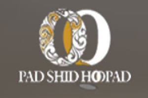 لوگوی شرکت پادشید هوپاد | بازسازی اول