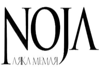 لوگوی شرکت آرکا نوژا