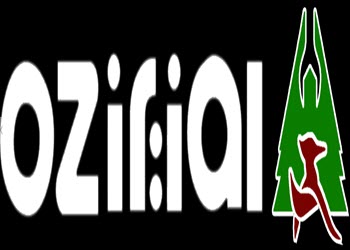 لوگوی معماری و دکوراسیون داخلی اوزیر | بازسازی اول